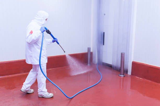Best Dumpster Area Cleaning  in Shavertown, PA